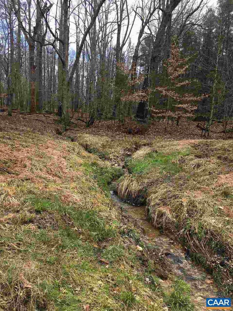 503 GARDEN LN LN, PALMYRA, Virginia 22963, ,Land,For Sale,503 GARDEN LN LN,613793 MLS # 613793 503 GARDEN LN LN, PALMYRA, Virginia 22963, ,Land,For Sale,503 GARDEN LN LN,613793 MLS # 613793