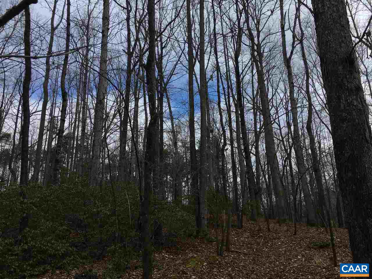 503 GARDEN LN LN, PALMYRA, Virginia 22963, ,Land,For Sale,503 GARDEN LN LN,613793 MLS # 613793 503 GARDEN LN LN, PALMYRA, Virginia 22963, ,Land,For Sale,503 GARDEN LN LN,613793 MLS # 613793