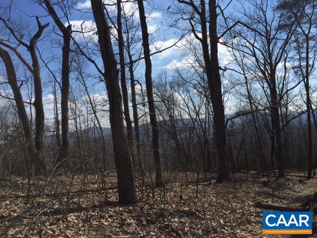 00 MILL POND RD RD, FABER, Virginia 22938, ,Farm,For Sale,00 MILL POND RD RD,619657 MLS # 619657 00 MILL POND RD RD, FABER, Virginia 22938, ,Farm,For Sale,00 MILL POND RD RD,619657 MLS # 619657