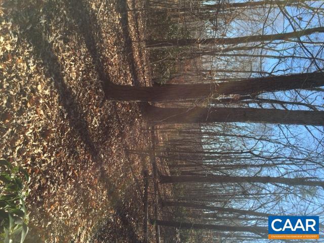 00 MILL POND RD RD, FABER, Virginia 22938, ,Farm,For Sale,00 MILL POND RD RD,619657 MLS # 619657 00 MILL POND RD RD, FABER, Virginia 22938, ,Farm,For Sale,00 MILL POND RD RD,619657 MLS # 619657