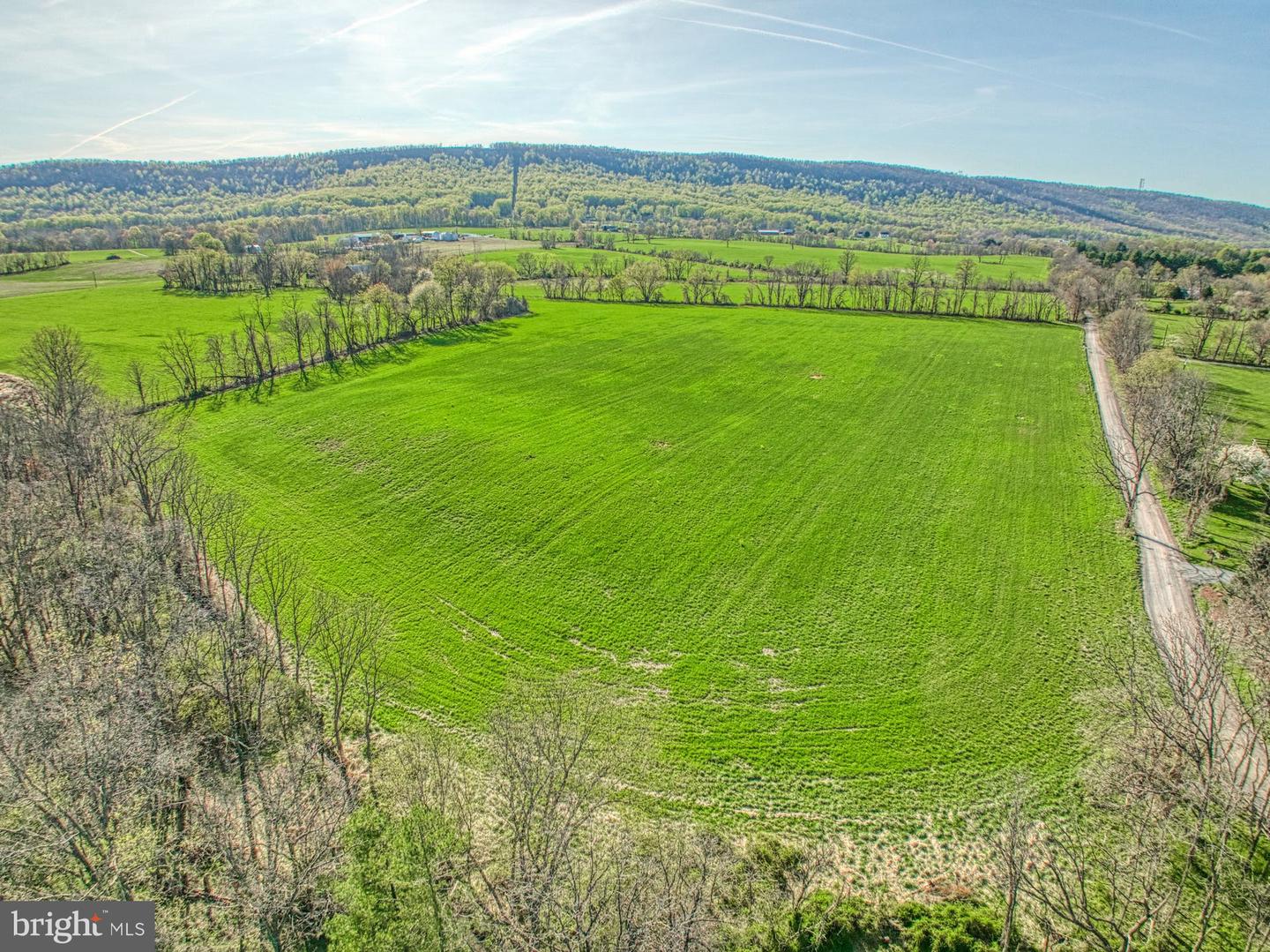 12347 AXLINE RD, LOVETTSVILLE, Virginia 20180, ,Farm,For Sale,12347 AXLINE RD,VALO2025378 MLS # VALO2025378