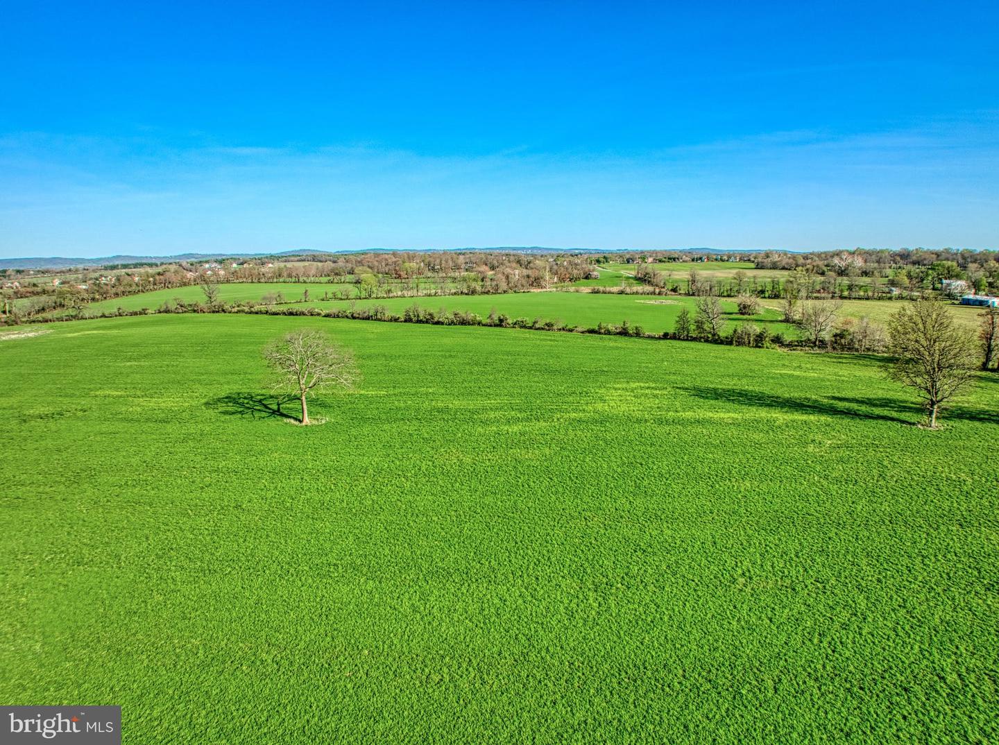 12347 AXLINE RD, LOVETTSVILLE, Virginia 20180, ,Farm,For Sale,12347 AXLINE RD,VALO2025378 MLS # VALO2025378