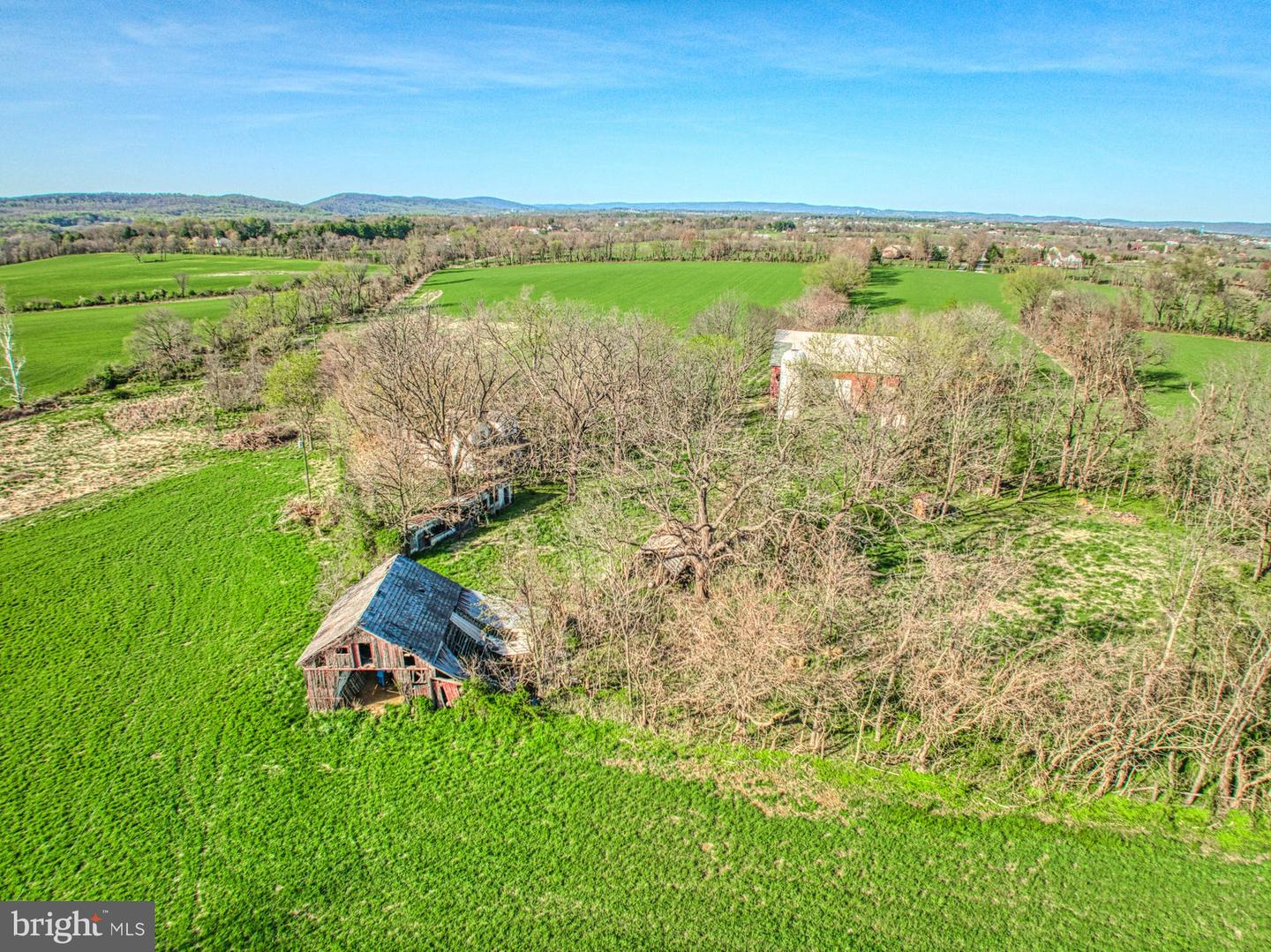 12347 AXLINE RD, LOVETTSVILLE, Virginia 20180, ,Farm,For Sale,12347 AXLINE RD,VALO2025378 MLS # VALO2025378