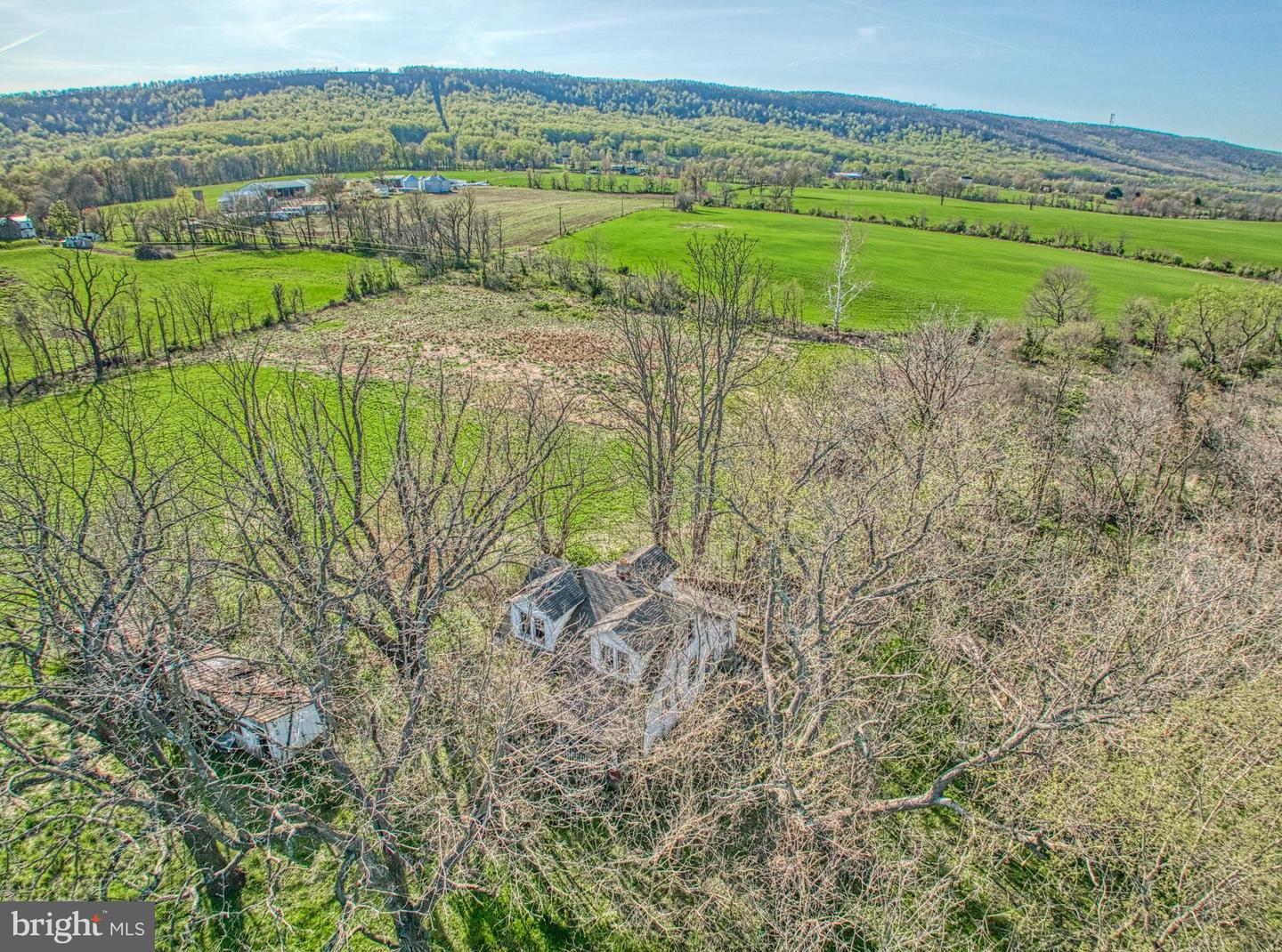 12347 AXLINE RD, LOVETTSVILLE, Virginia 20180, ,Farm,For Sale,12347 AXLINE RD,VALO2025378 MLS # VALO2025378